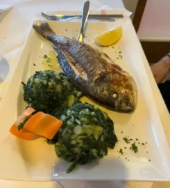 Restaurant Dalmatino